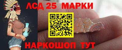 гидропоника Будённовск