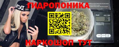 гидропоника Будённовск