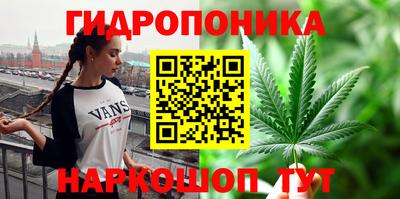 гидропоника Будённовск