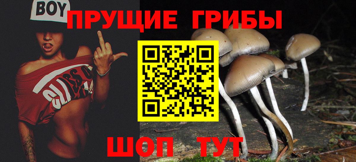 Новороссийск  Псилоцибиновые грибы Psilocybine cubensis  Вход с VPN  Галлюциногенные грибы MAGIC MUSHROOMS 